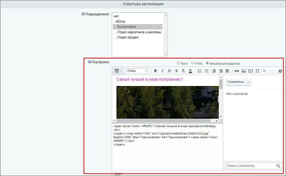 Тип пользовательского свойства - HTML/Визуальный редактор — скриншот 6