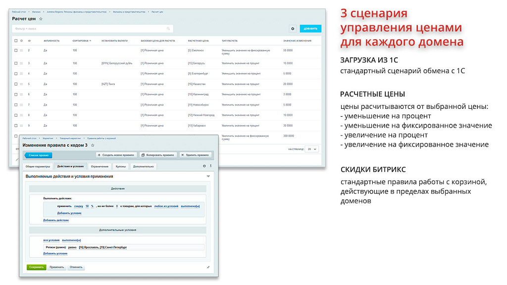 Ammina. Регионы (филиалы и представительства). Мультирегиональность на доменах и URL адресах — скриншот 4