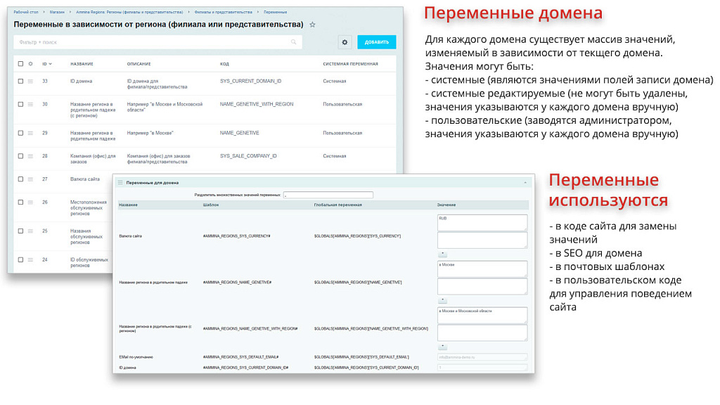 Ammina. Регионы (филиалы и представительства). Мультирегиональность на доменах и URL адресах — скриншот 8