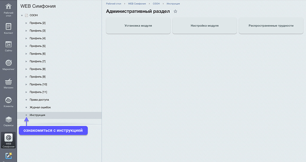 WBS24: Интеграция заказов, остатков и цен с OZON (ОЗОН) по API — скриншот 10