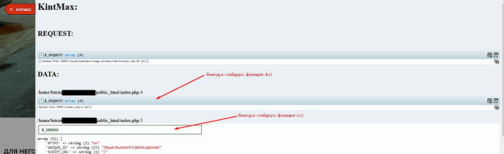 Отладчик KintMax (debuger). d(), s(), ds(), ss(), dp() вместо var_dump, var_export, print_r, pre — скриншот 2
