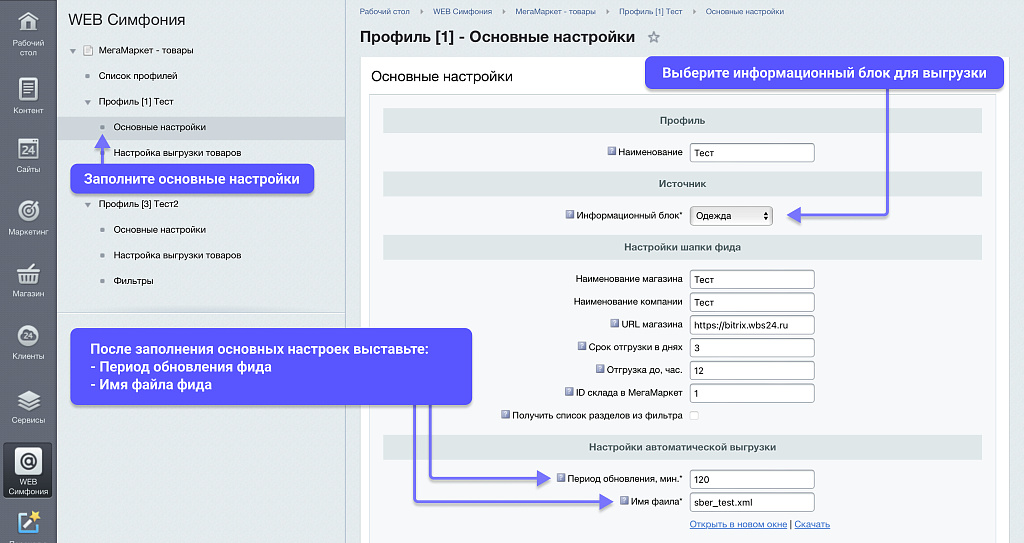 WBS24: Интеграция с МегаМаркет - фид обновления товара и цен, остатки по API 2.0 — скриншот 2