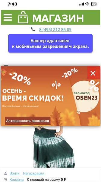 WBS24: Всплывающий рекламный баннер и автоматическое применение промокода — скриншот 3