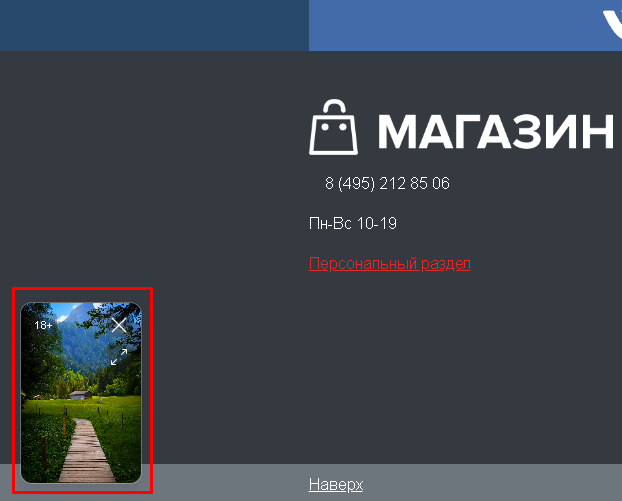 BX365: Видеовиджет для сайта — скриншот 3