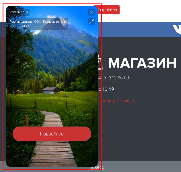 BX365: Видеовиджет для сайта — скриншот 5
