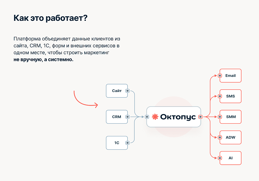 Октопус CDP: автоматизация маркетинга — скриншот 3