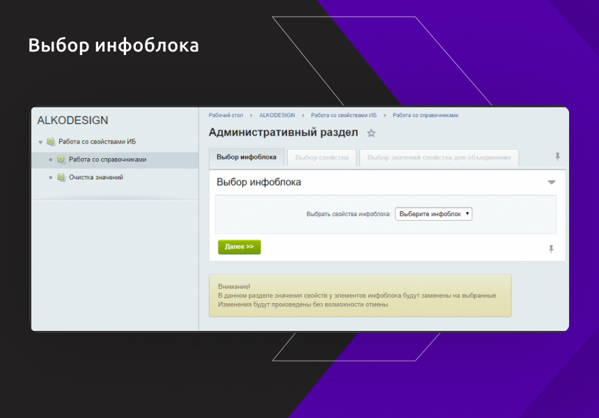 Чистильщик справочников и коррекция элементов инфоблоков — скриншот 2