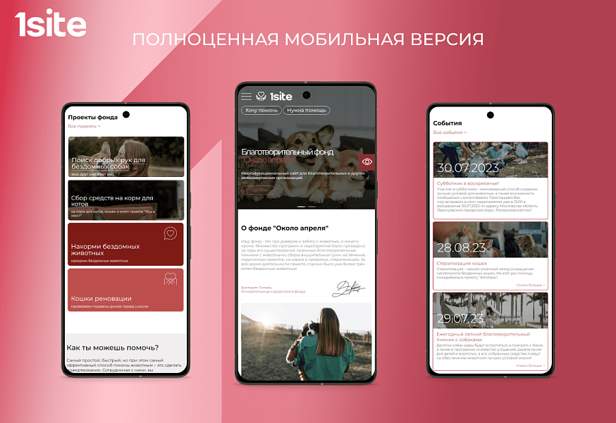 1Site.NKO - Сайт некоммерческой организации, благотворительного фонда — скриншот 6