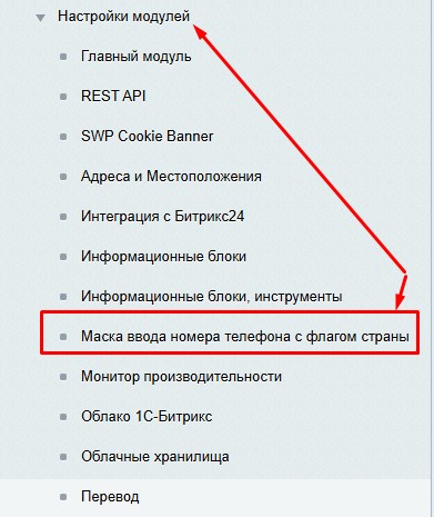 Маска ввода номера телефона с флагом страны — скриншот 2