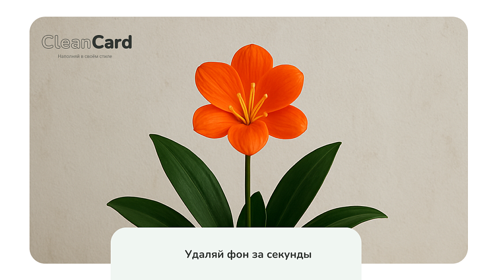 CleanCard — массовое автоудаление фона с изображений — скриншот 2