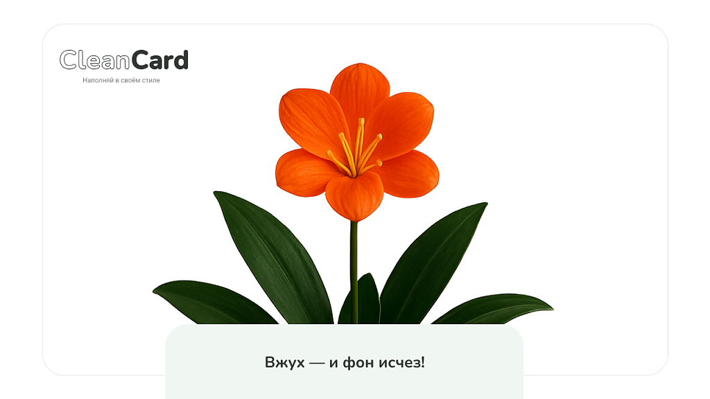 CleanCard — массовое автоудаление фона с изображений — скриншот 3