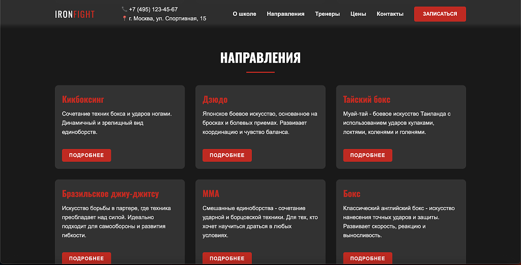 IronFight - готовый лендинг для школы единоборств — скриншот 3