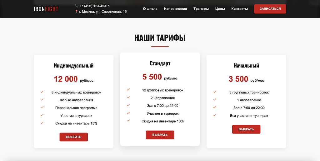 IronFight - готовый лендинг для школы единоборств — скриншот 6