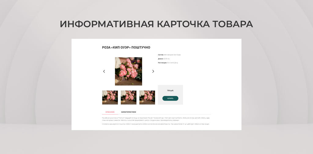 Team-B — Цветы сайт с каталогом товаров — скриншот 4