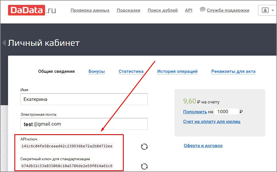 Получение реквизитов из сервиса Дадата — скриншот 5
