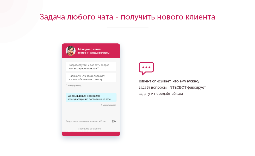 INTECBOT - Чат бот для сайта. Ловец лидов.  Роботизированный онлайн-консультант. — скриншот 3