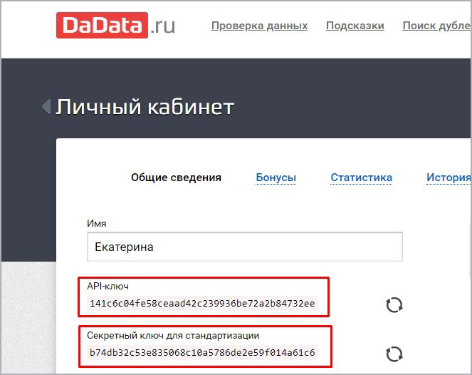 Связь с сервисом dadata.ru — скриншот 4
